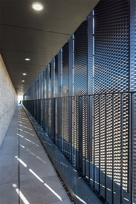 Vision Volumetric Vision Volumetric