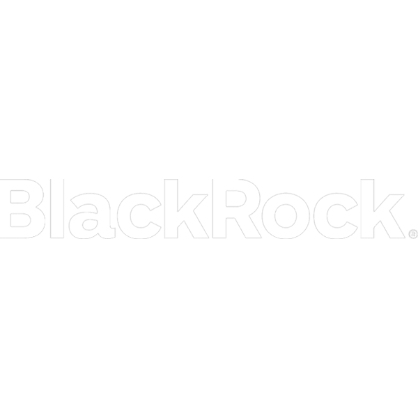 Blackrock | Vision