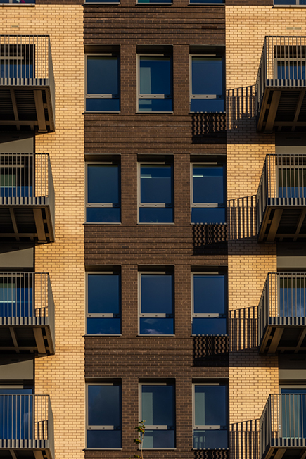 Vision Volumetric Vision Volumetric